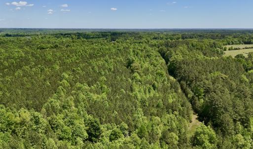 Photo #24 of SOLD property in Off Perry Town Rd, Warrenton, NC 12.9 acres