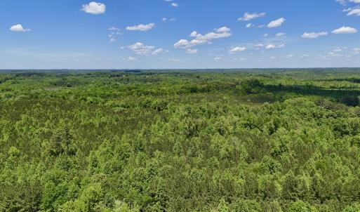 Photo #26 of SOLD property in Off Perry Town Rd, Warrenton, NC 12.9 acres