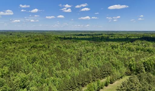 Photo #27 of SOLD property in Off Perry Town Rd, Warrenton, NC 12.9 acres