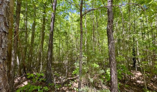 Photo #28 of Off Perry Town Rd, Warrenton, NC 12.9 acres