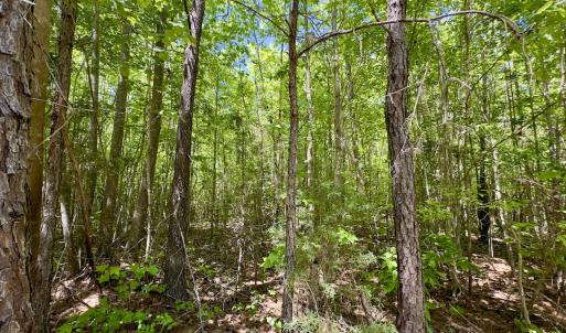 Photo #28 of SOLD property in Off Perry Town Rd, Warrenton, NC 12.9 acres