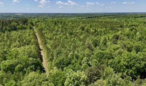Photo #4 of SOLD property in Off Perry Town Rd, Warrenton, NC 12.9 acres