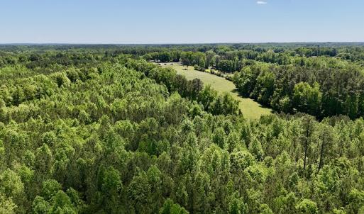 Photo #6 of SOLD property in Off Perry Town Rd, Warrenton, NC 12.9 acres
