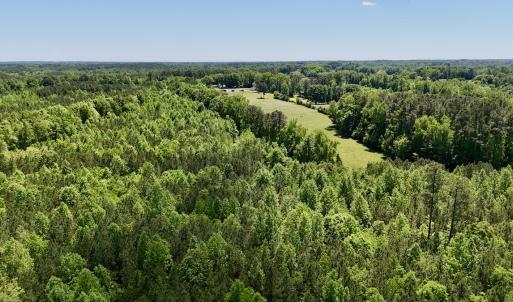 Photo #6 of Off Perry Town Rd, Warrenton, NC 12.9 acres