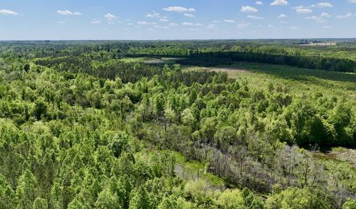 Photo #8 of SOLD property in Off Perry Town Rd, Warrenton, NC 12.9 acres