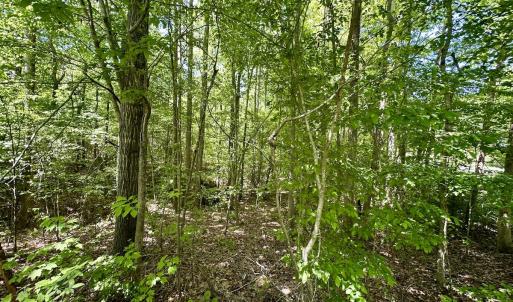 Photo #9 of SOLD property in Off Perry Town Rd, Warrenton, NC 12.9 acres