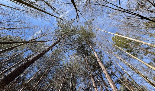 Photo #29 of SOLD property in 268 S Airport Road, Farmville, VA 187.1 acres