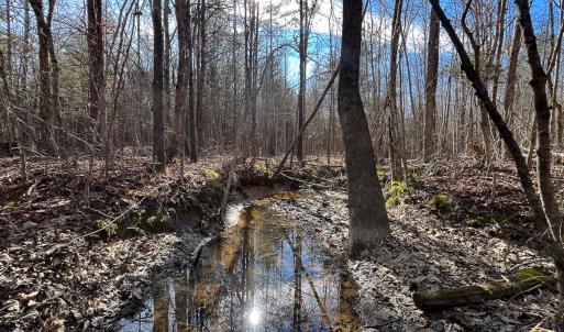 Photo #30 of SOLD property in 268 S Airport Road, Farmville, VA 187.1 acres