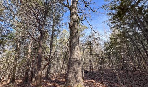 Photo #31 of SOLD property in 268 S Airport Road, Farmville, VA 187.1 acres