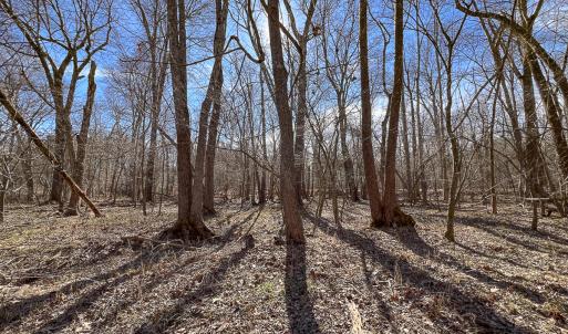 Photo #33 of SOLD property in 268 S Airport Road, Farmville, VA 187.1 acres