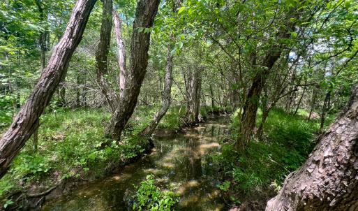 Photo #34 of SOLD property in 268 S Airport Road, Farmville, VA 187.1 acres