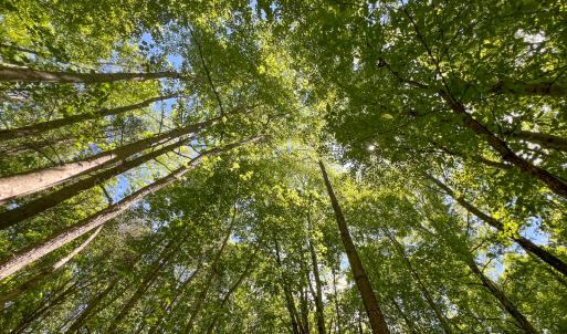 Photo #43 of SOLD property in 268 S Airport Road, Farmville, VA 187.1 acres