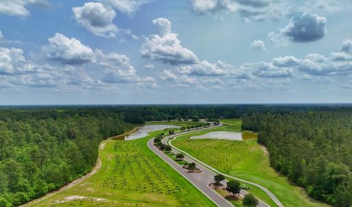 Photo #33 of SOLD property in 145 Cellars Way, Wallace, NC 0.5 acres