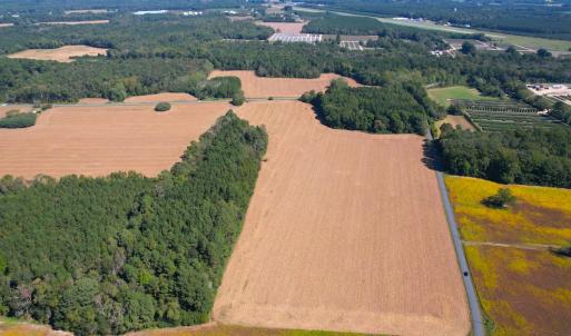 Photo #2 of SOLD property in Off Hollies Church Rd, Melfa, VA 95.7 acres