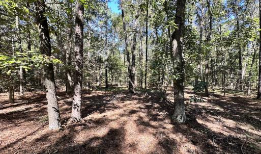 Photo #22 of SOLD property in Off Hollies Church Rd, Melfa, VA 95.7 acres