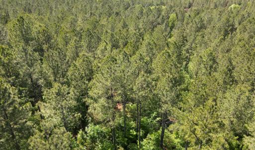 Photo #21 of SOLD property in Off E Indian Caves Rd, Nathalie, VA 20.4 acres