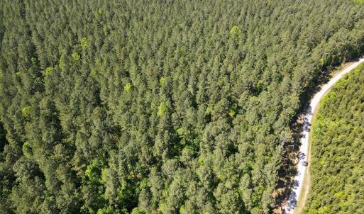 Photo #23 of SOLD property in Off E Indian Caves Rd, Nathalie, VA 20.4 acres