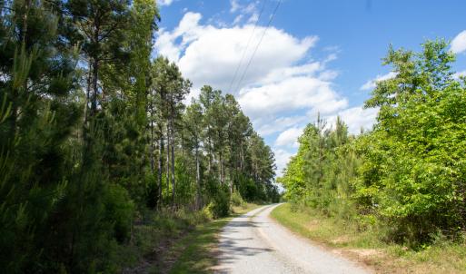 Photo #25 of SOLD property in Off E Indian Caves Rd, Nathalie, VA 20.4 acres