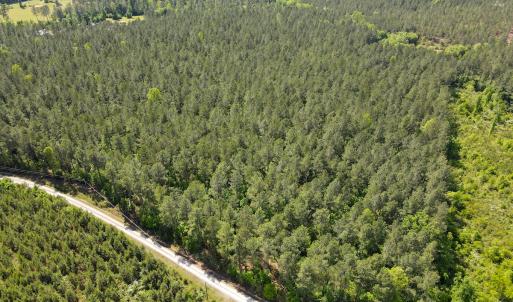 Photo #32 of SOLD property in Off E Indian Caves Rd, Nathalie, VA 20.4 acres