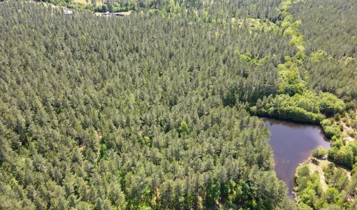Photo #4 of SOLD property in Off E Indian Caves Rd, Nathalie, VA 20.4 acres