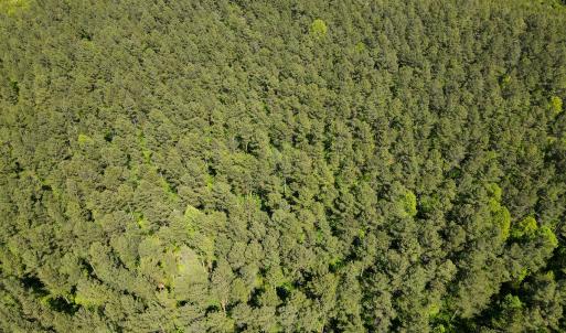 Photo #7 of SOLD property in Off E Indian Caves Rd, Nathalie, VA 20.4 acres
