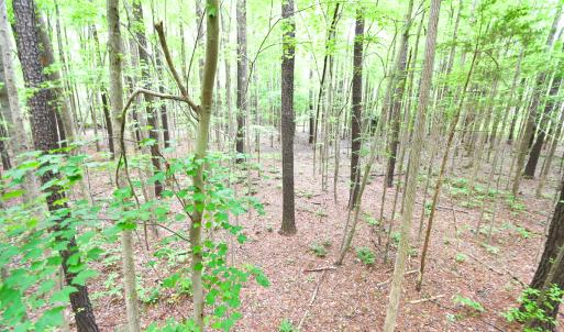 Photo #4 of SOLD property in 161 Crafford Road, Newport News, VA 3.9 acres