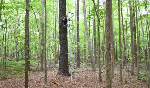 Photo #6 of SOLD property in 161 Crafford Road, Newport News, VA 3.9 acres