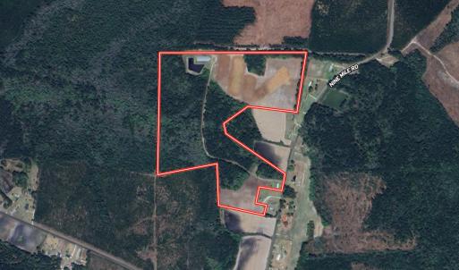 Photo #1 of 481 Nine Mile Rd, Maple Hill, NC 65.3 acres