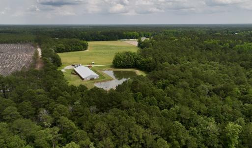 Photo #2 of 481 Nine Mile Rd, Maple Hill, NC 65.3 acres