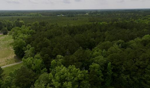 Photo #13 of 481 Nine Mile Rd, Maple Hill, NC 65.3 acres