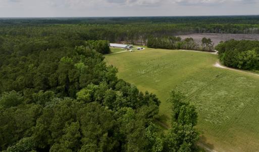 Photo #14 of 481 Nine Mile Rd, Maple Hill, NC 65.3 acres