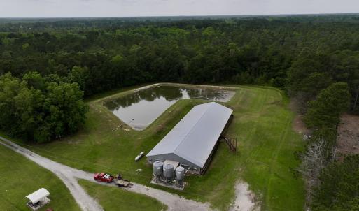 Photo #17 of 481 Nine Mile Rd, Maple Hill, NC 65.3 acres