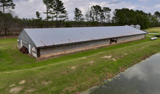 Photo #19 of 481 Nine Mile Rd, Maple Hill, NC 65.3 acres