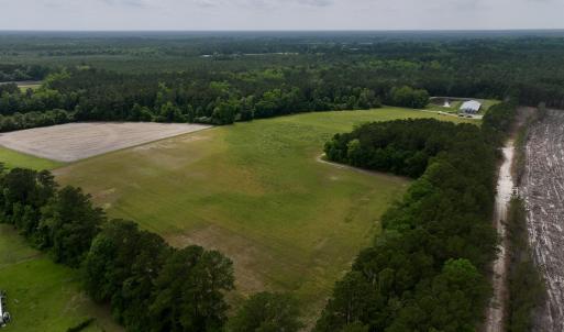 Photo #3 of 481 Nine Mile Rd, Maple Hill, NC 65.3 acres