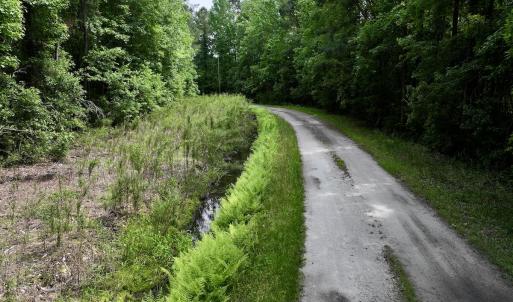 Photo #23 of 481 Nine Mile Rd, Maple Hill, NC 65.3 acres