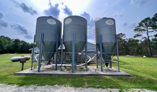 Photo #26 of 481 Nine Mile Rd, Maple Hill, NC 65.3 acres