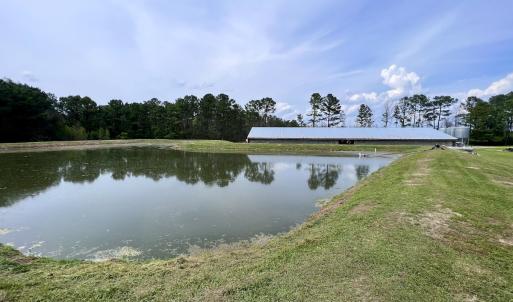 Photo #30 of 481 Nine Mile Rd, Maple Hill, NC 65.3 acres