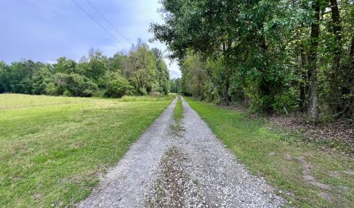 Photo #31 of 481 Nine Mile Rd, Maple Hill, NC 65.3 acres
