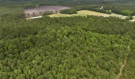 Photo #39 of 481 Nine Mile Rd, Maple Hill, NC 65.3 acres