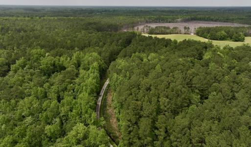 Photo #40 of 481 Nine Mile Rd, Maple Hill, NC 65.3 acres