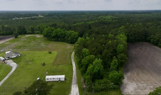 Photo #6 of 481 Nine Mile Rd, Maple Hill, NC 65.3 acres