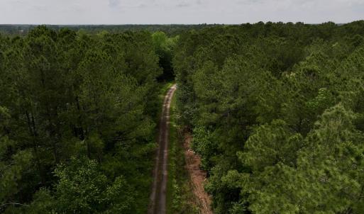 Photo #46 of 481 Nine Mile Rd, Maple Hill, NC 65.3 acres