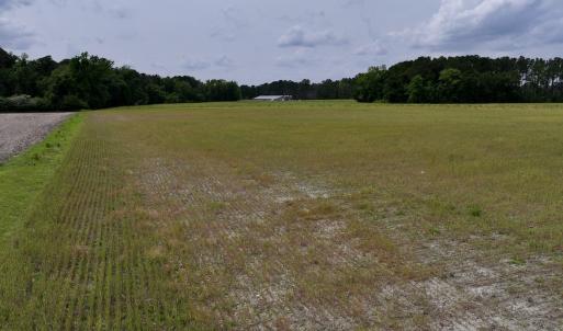Photo #48 of 481 Nine Mile Rd, Maple Hill, NC 65.3 acres