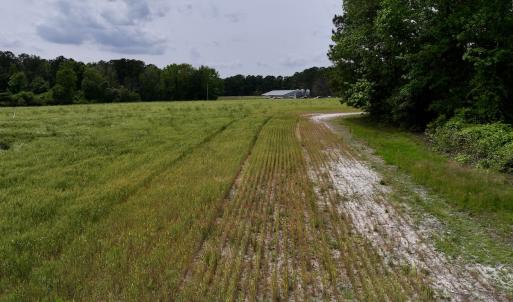 Photo #49 of 481 Nine Mile Rd, Maple Hill, NC 65.3 acres
