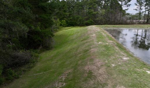 Photo #55 of 481 Nine Mile Rd, Maple Hill, NC 65.3 acres