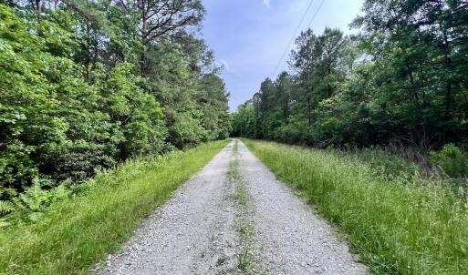 Photo #63 of 481 Nine Mile Rd, Maple Hill, NC 65.3 acres