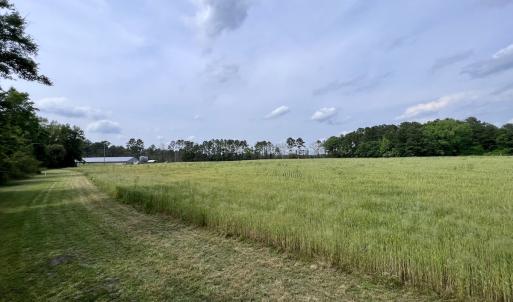 Photo #64 of 481 Nine Mile Rd, Maple Hill, NC 65.3 acres