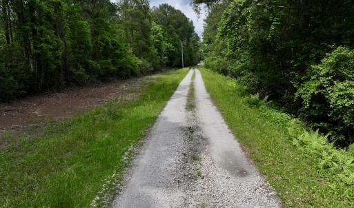 Photo #68 of 481 Nine Mile Rd, Maple Hill, NC 65.3 acres