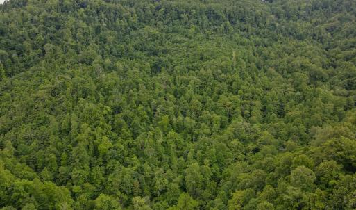 Photo #10 of SOLD property in Off Barton Spur Rd, Ferrum, VA 181.7 acres
