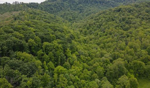 Photo #3 of SOLD property in Off Barton Spur Rd, Ferrum, VA 181.7 acres